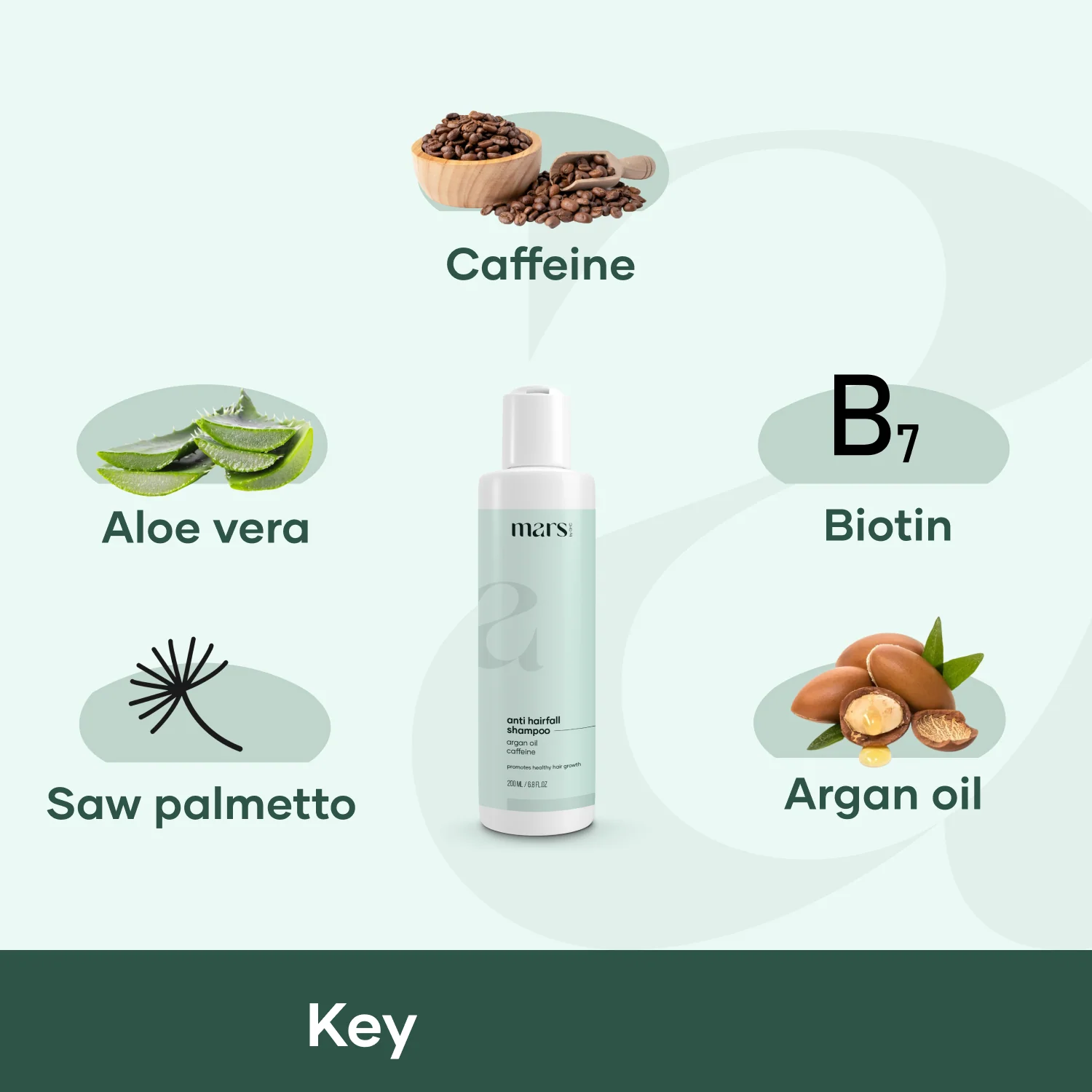 Anti Hairfall Shampoo for Men | SLS Free | Paraben Free - (200 ml) - Image 2
